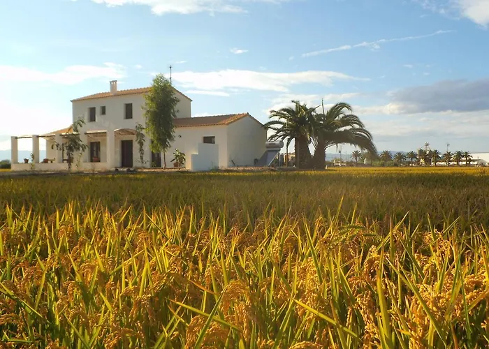 Mas Dels Bonos Landhaus